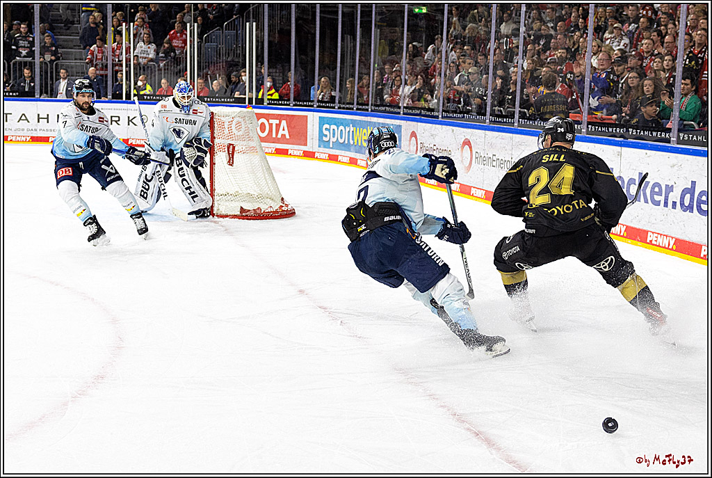 PENNY DEL;  Kölner Haie - ERC Ingolstadt; Köln, 25.11.2022